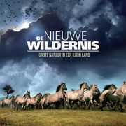 Nieuwe-wildernis-buiten