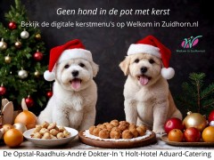 Geen hond in de pot met kerst