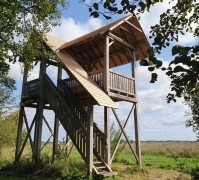 Uitkijktoren lettelberterpetten  Mirjam Aalfs - Het Groninger Landschap